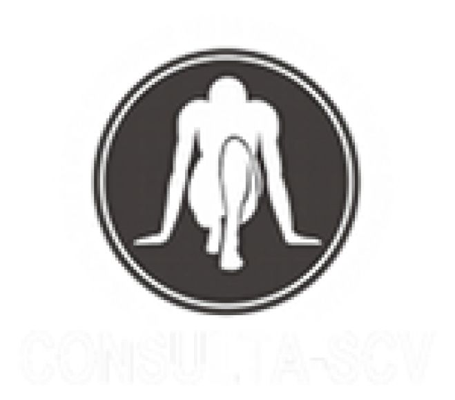 CONSULTA CSCV